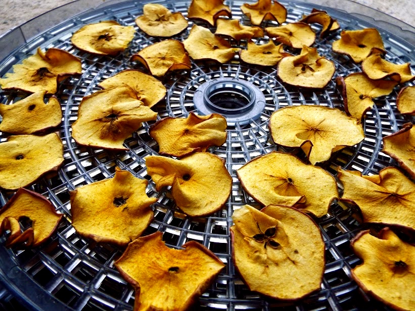 Arrange apples in your dehydrator and time appropriately so you get the perfect crunch, or chewiness.